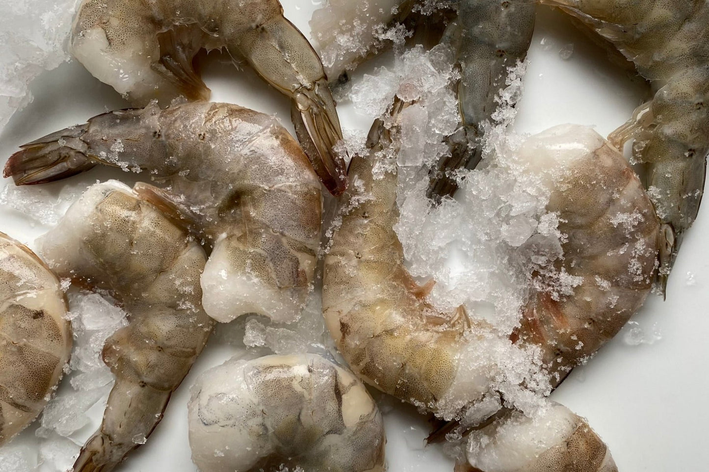 Riesengarnelen BlackTiger 8/12er ohne Kopf, mit Schale, tiefgefroren