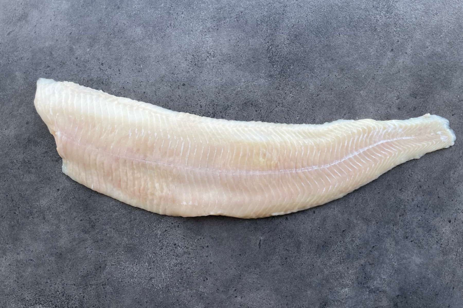 Frisches Steinbeißerfilet ohne Haut – festes, weißes Fleisch – fangfrisch vakuumiert