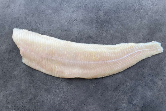 Frisches Steinbeißerfilet ohne Haut – festes, weißes Fleisch – fangfrisch vakuumiert